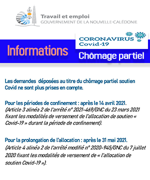 Direction Du Travail Et De L Emploi Gouvernement De La Nouvelle Caledonie