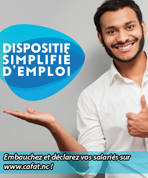 Direction du Travail et de l'Emploi - Gouvernement de la ...